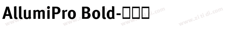 AllumiPro Bold字体转换